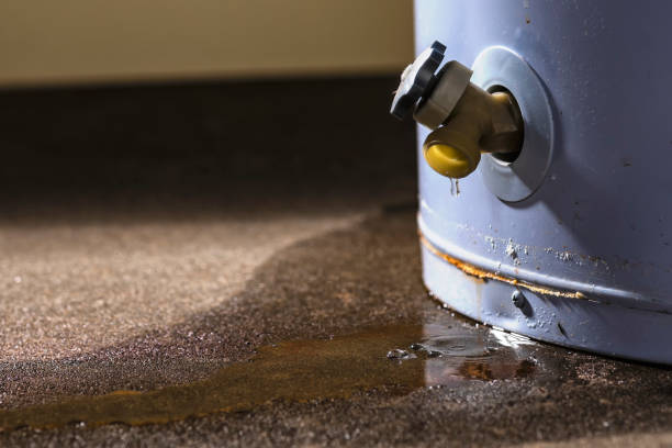 Best Water damage restoration near me  in St Joseph, MO