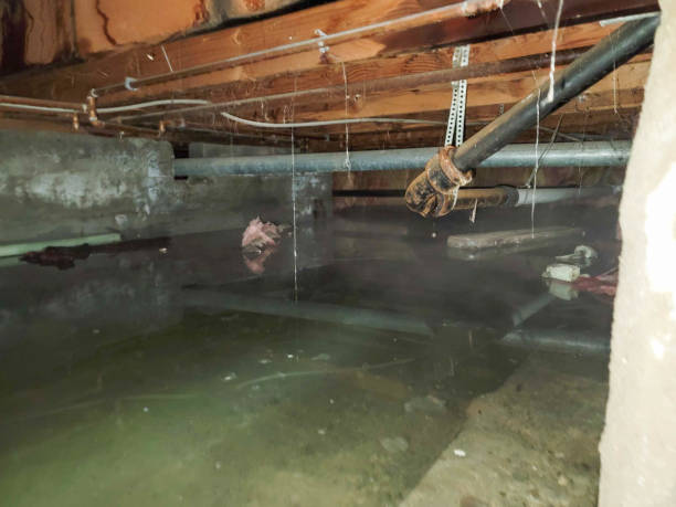 Best Ceiling water damage repair  in St Joseph, MO