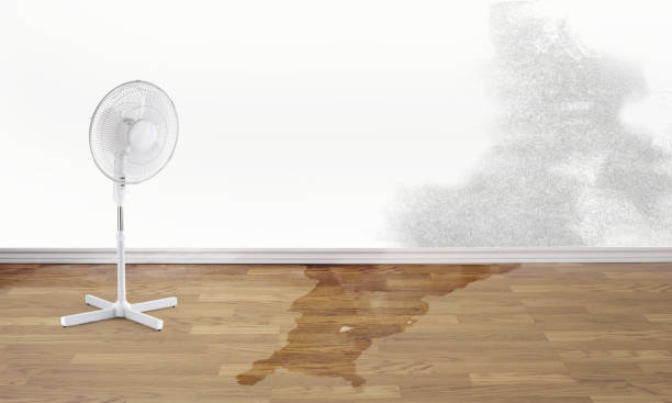 Best Emergency water damage restoration  in St Joseph, MO