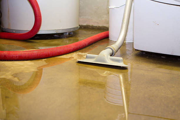 Best Water damage restoration near me  in St Joseph, MO