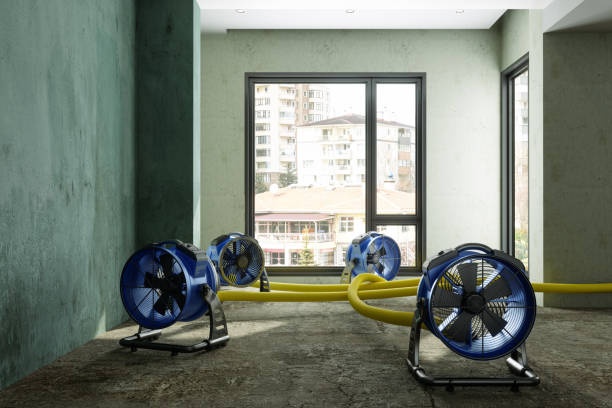Best Local water damage restoration  in St Joseph, MO